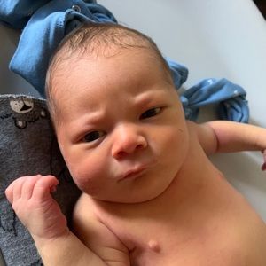 Meet your Posher, Shaun